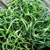 Farm at Miller's Crossing - organic garlic scapes